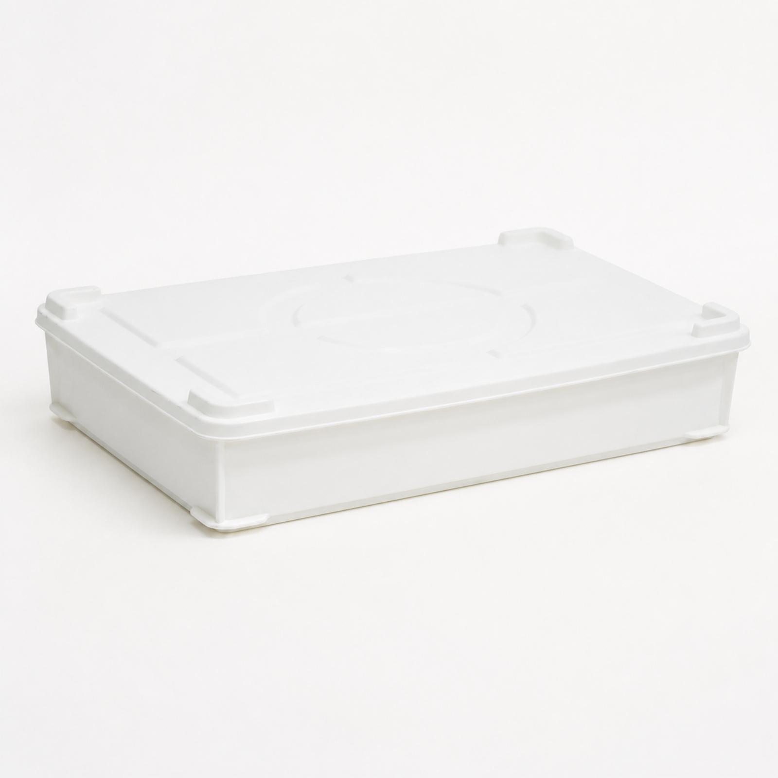 Contenitore per lievitazione i - Food Storage Containers recensione e prezzo